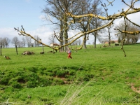 dsc02821.jpg