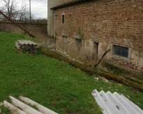 dsc01817.jpg