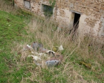 dsc01818.jpg