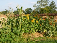 dsc00846.jpg