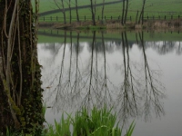 dsc02745.jpg