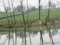dsc02746.jpg