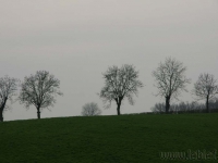 dsc02767.jpg