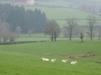 dsc02772.jpg