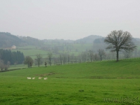 dsc02773.jpg