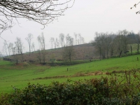 dsc02774.jpg