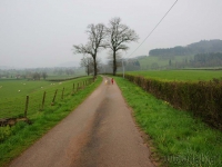 dsc02775.jpg
