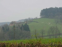dsc02780.jpg