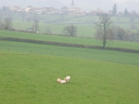 dsc02781.jpg