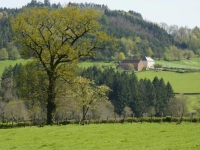 dsc03561.jpg