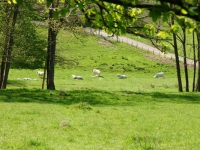 dsc03573.jpg