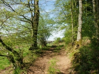 dsc03575.jpg