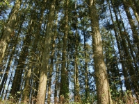 dsc03576.jpg