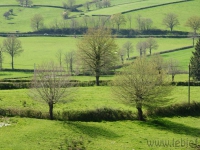 dsc03584.jpg