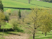 dsc03590.jpg