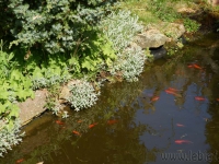 dsc03601.jpg