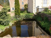 dsc03602.jpg