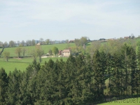 dsc03606.jpg