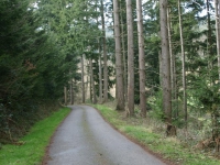 DSC00763.jpg