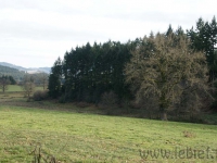 DSC00773.jpg