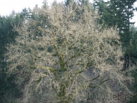 DSC00774.jpg