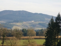 DSC00775.jpg