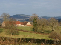 DSC00776.jpg