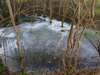 DSC00779.jpg