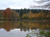 DSC00505.jpg