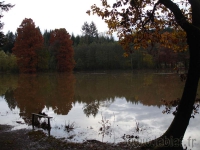 DSC00506.jpg