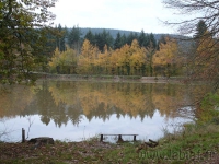DSC00510.jpg