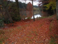 DSC00522.jpg