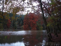 DSC00535.jpg