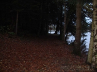 DSC00536.jpg