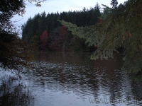 DSC00537.jpg