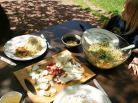 dsc03544.jpg