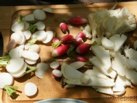 dsc03546.jpg