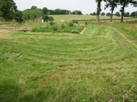 dsc04872.jpg