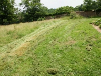 dsc04874.jpg