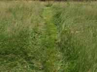 dsc04876.jpg