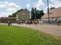 dsc05527.jpg