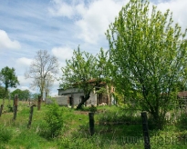 dsc01526