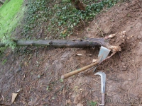 dsc02736.jpg