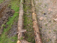 dsc02742.jpg