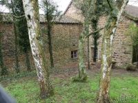 dsc02743.jpg