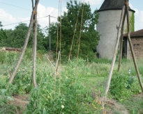 DSC02633