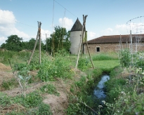 DSC02634