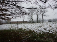 dsc01906.jpg