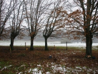 dsc01908.jpg