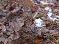 dsc01910.jpg